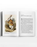 Alice's Adventures in Wonderland