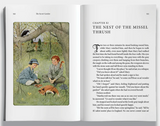 Copper Lodge Library: The Secret Garden