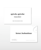 Latin Flashcards - Nouns and Pronouns